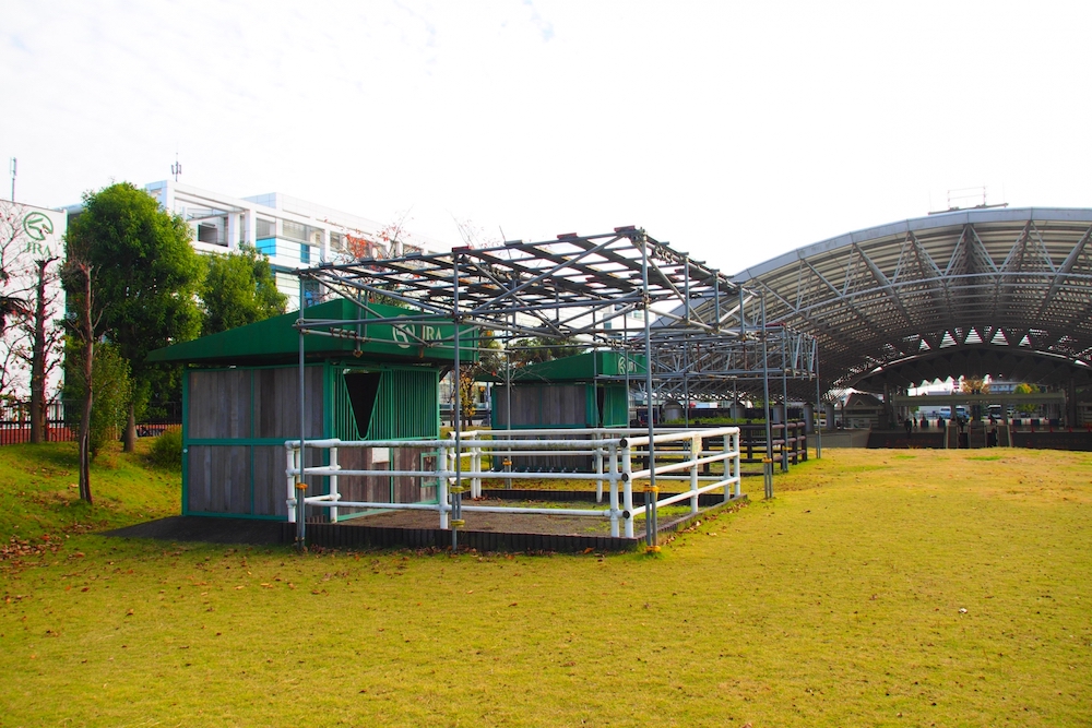 競馬は血統を前提に成り立っているブラッドスポーツ